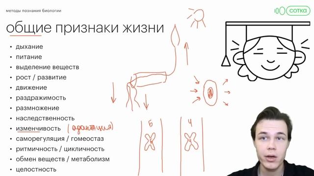 Как справиться с первым заданием в ОГЭ по биологии? смотреть онлайн