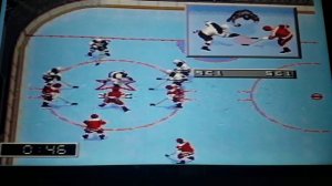 NHL 96 Detroit at Chicago