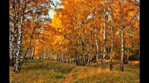 Бегут года. Demis Roussos