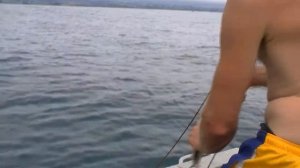 19 Промысел рыбы в Новой Зеландии