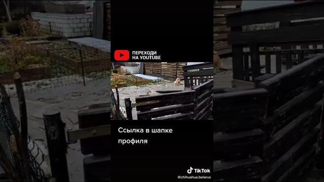 Обзор нашего питомника