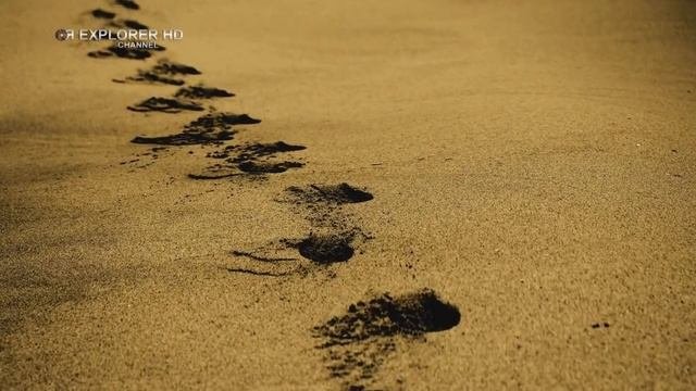 ЧТО ТАКОЕ ПЕСОК?