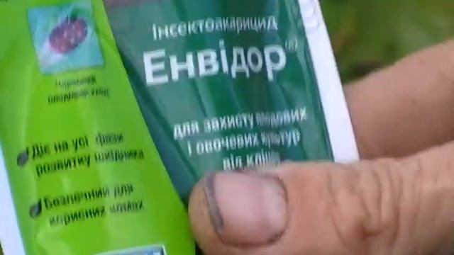 Обработка винограда от виноградного клеща(зудня)