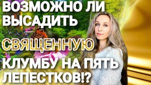 Возможно ли высадить Священную клумбу на 5 лепестков!?