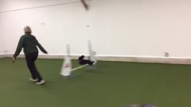 Sass extension to collection bend grid смотреть онлайн