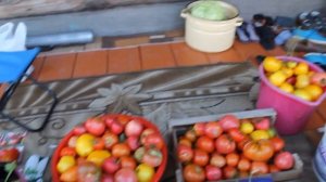 ОЧЕНЬ ВКУСНЫЕ салатные сорта томатов!