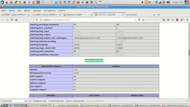 XAMPP 7.3.12 for linux + imagick.so + memcached.so + xdebug.so смотреть онлайн