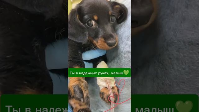 Ты в надежных руках, малыш💚