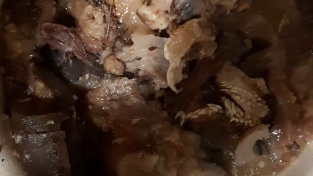 Чем кормлю собак на карантине смотреть онлайн