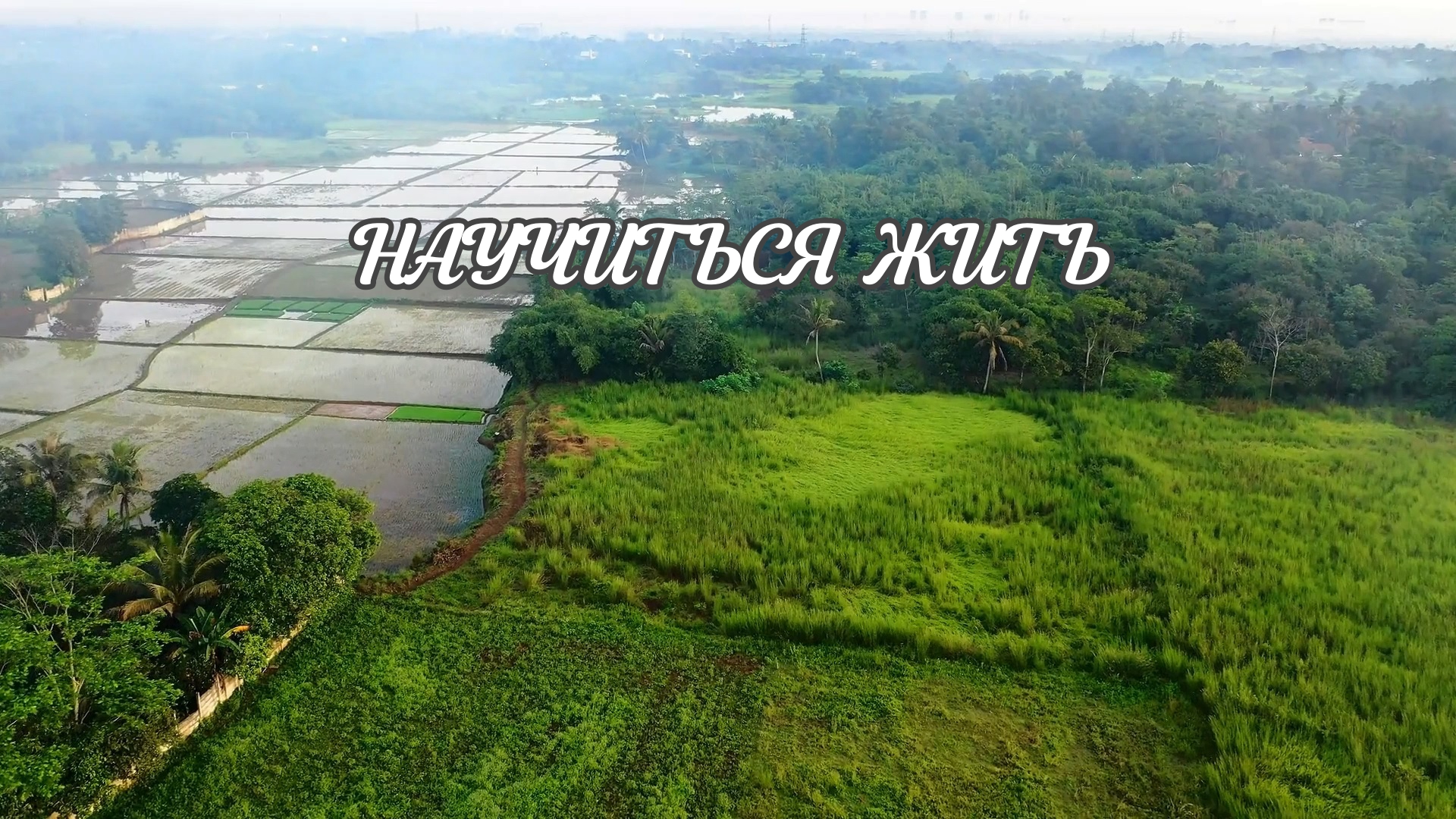 Одна капля человечности драгоценнее всех правил мира | Душевно134 | Душевное видео