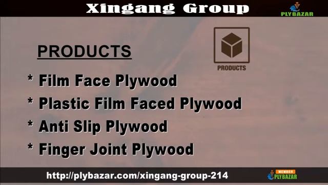 Xingang Group Lanshan District, Linyi City, Shandong Province, China