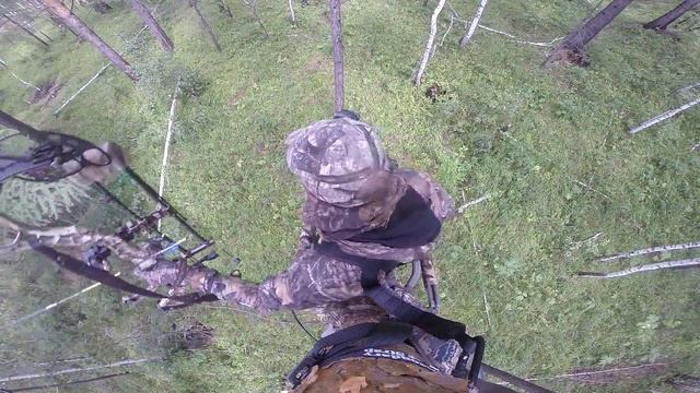 Охота на сибирскую косулю. смотреть онлайн