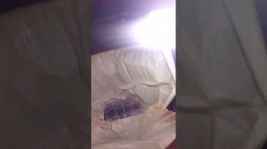 как помыть двигатель на автомобиле