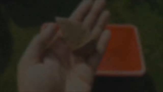 Петуния из профессиональных семян  Выращивание и уход смотреть онлайн