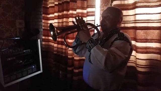 Полька "Карпати" у виконанні Ігоря Гука!!! смотреть онлайн