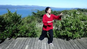 Tai chi 5 Minutes a Day Module 03 - Part the Horses Mane and Double Spiral - Easy For Beginners