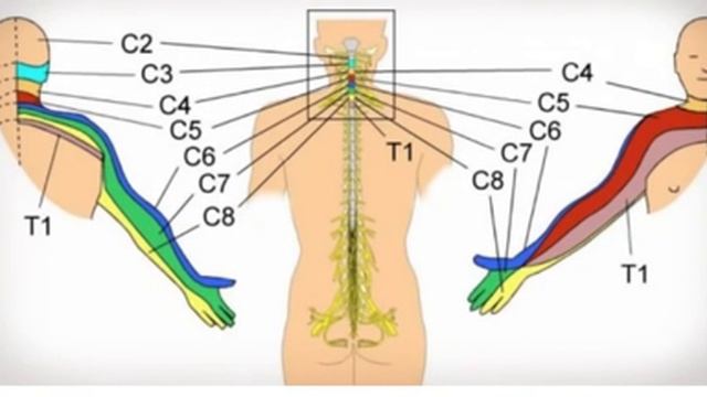 Немеют РУКИ!!? Почему? Что ДЕЛАТЬ!? 7 причин!! Задумайся о здоровье смотреть онлайн