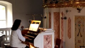 Евангельская церковь св. Гертруды. Орган. Evangeliumskirche St. Gertrud. Organ.