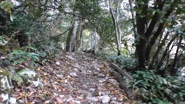 Тисо-Самшитовая роща - 1 смотреть онлайн