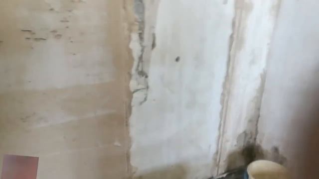Штукатурка стен. Ротгипс