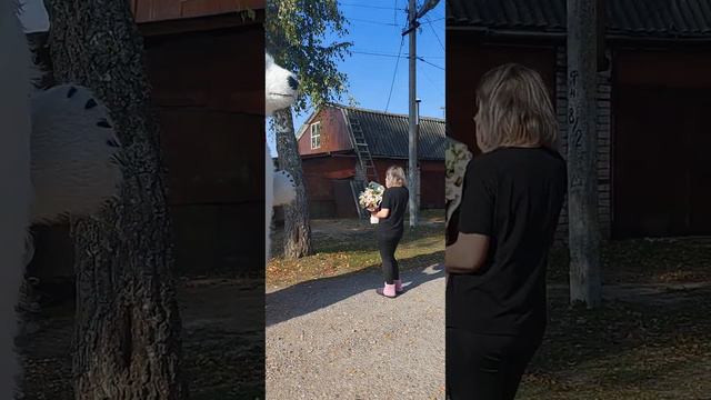 мы передаём приветы и поздравления,даже если вы далеко от своих родных смотреть онлайн