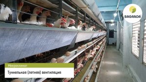 Автоматическая вентиляция и охлаждение для птичников с клеточным содержанием кур-несушек | SAGRADA