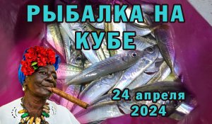 Рыбалка на Кубе 24 апреля. Ловим ставриду.