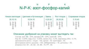 Выращивание огурцов. Моя плантация - все секретыот А до Я