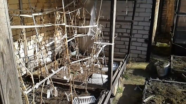 Маленький Огородик Елены Тереховой - Как перезимовал огород 16.03.2022
