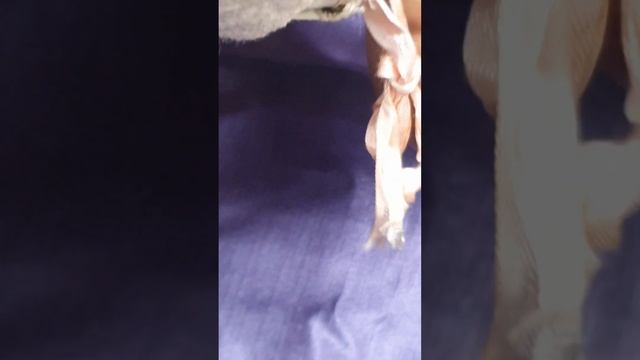 Кукла Sonneberger Porzellanfabrik смотреть онлайн