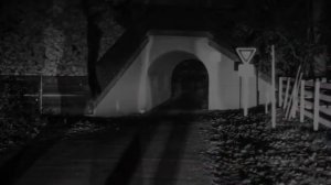 Легенда о человеке-кролике. ТАКОГО ВЫ НЕ СЛЫШАЛИ! Игорь Чайка