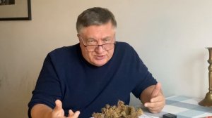 Самые всхожие семена моркови!