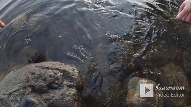 Рыбалка на спиннинг в ноябре. Ловля окуна на спиннинг. Рыбалка осенью. смотреть онлайн