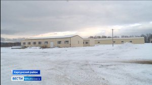 Крупная птицефабрика по выращиванию бройлеров готовится к открытию в Карсунском районе