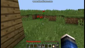 4 Способа как гриферить в майнкрафт