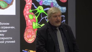 Профессор Савельев - как работает наш мозг(часть2)