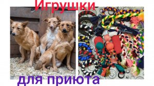 Игрушки для собак своими руками из подручных материалов 4