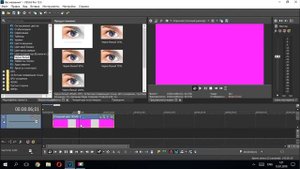 Vegas Pro 15. Как сделать видео черно белым. Два простых способа