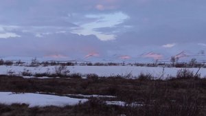 Охота на Чукотке весной на гуся