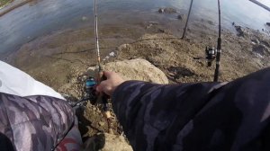 ловля карася на пенопласт весной в Беловском водохранилище