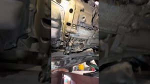 Школа Октавия на диагностику Течи масла
