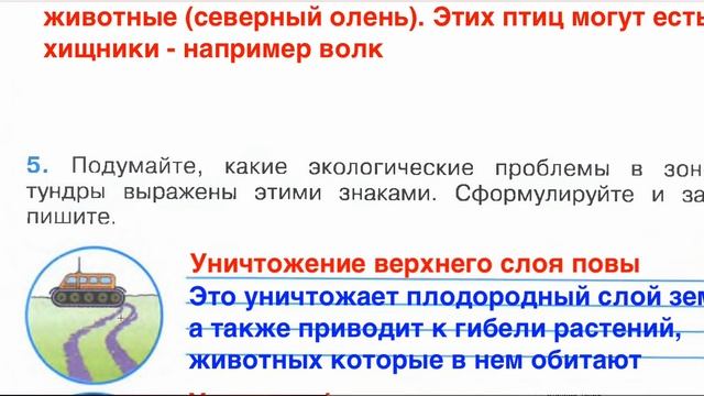 Страница 38 Рабочая тетрадь по окружающему миру за 4 класс 1 часть Плешаков Школа России смотреть онлайн