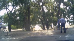 Собачники в парке. Омск