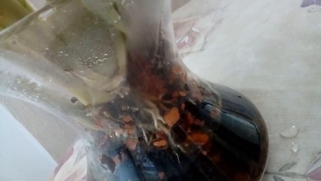 Мильтониопсис Полив и содержание в вазе в стекле