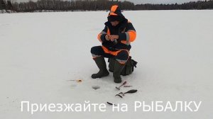 Рыбалка на озере Селигер. Рыбалка с местным Рыбаком. Дом Рыбака Заречье 33 Приглашаем на отдых