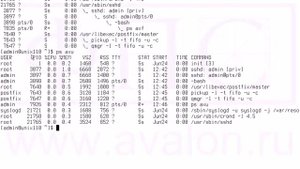 Postfix - установка и начальная настройка 1
