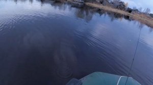 РЫБАЛКА В МАЕ НА ЯЗЯ НА ПОПЛАВОК И УЛЬТРАЛАЙТ