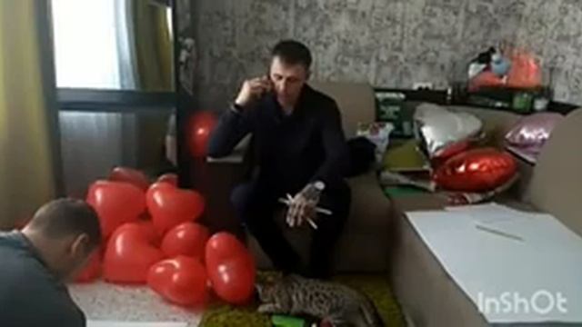 Красиво сделал предложение смотреть онлайн