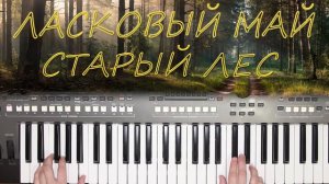 ЛАСКОВЫЙ МАЙ СТАРЫЙ ЛЕС АНДРЕЙ РАЗИН КАВЕР НА СИНТЕЗАТОРЕ YAMAHA PSR s670