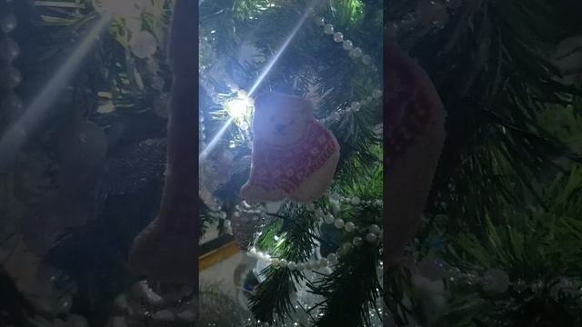 Наша вторая ёлочка ?#леся_из_сказочного_леса #сказочныйлес
